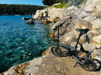 FIIDO D2 Sklopivi elektricni bicikl  250W motor 7,8 Ah baterija