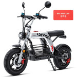 iScooter DX5 Pro, 2000W,rač.,jamst.,NOVO,ZAPAKIRANO!
