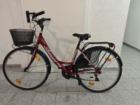 Ženski gradski bicikl, Scirocco Siviglia, 26"