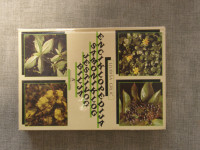 Enciklopedija samoniklog jestivog bilja – Ljubiša Grlić