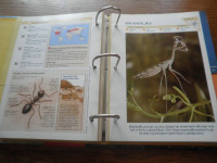 ENCIKLOPEDIJA O ŽIVOTINJAMA U KARTICAMA