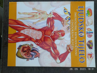 Ljudsko tijelo, Imunološki, reproduktivni i endokrini sudtav