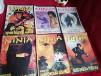 NINJA 6 Romana