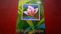 blok cvijet - gvineja ekvatorial
