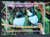 BLOK, EKVATORIJALNA GVINEJA, 1976, FAUNA, PTICE, ZRAČNA POŠTA