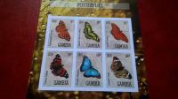 butterflies - gambia