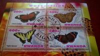 butterflies- rwanda