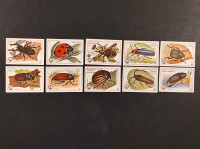 FILUMENIJA, serija kukci, DOLAC