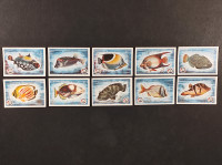 FILUMENIJA. serija ribe, DOLAC