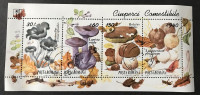 RUMUNJSKA, BLOK, 1994, FLORA, JESTIVE GLJIVE, MI:RO BL293
