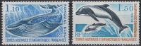 T.A.A.F. - Set od 2 - Morska fauna - Mi 113~114 - 1977 - MNH