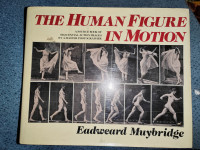 The human figure in motion