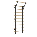 Ljestve s uključenim pull up vratilom