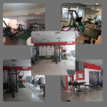 PROFESIONALNA FITNESS OPREMA – 52 SPRAVE (TECHNOGYM + OSTALO)