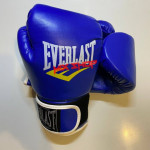 Everlast Rukavice za Boks 14 OZ unci Box Udaranje Kickboxing 14oz