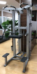 LIFE FITNESS PRO 2 ASSIST CHIN DIP