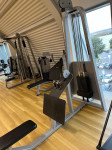 PRECOR ICARIAN PULL ROW – profesionalna sprava za trening hrbta