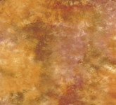 Lastolite 7842 Washable Background - Kentucky 3 x 7 metara