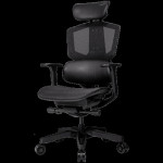 Cougar ARGO One Black | Gaming Chair