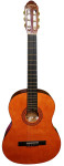 akustična gitara C.Giant