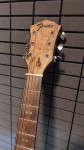 Fender FA-345 CE SP MPL Limited Edition