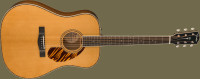 FENDER FSR PD-220E DREAD AGN OVBS