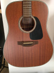 Takamine GD11M