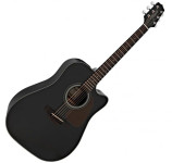 Takamine GD15CE