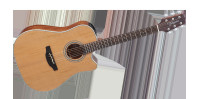 TAKAMINE GD20CE NS