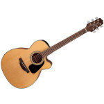 TAKAMINE GN10CE NS