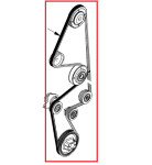 Remen ventilatora Thermo King 781945