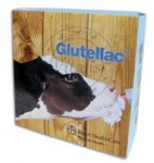 Glutellac - elektroliti u ampuli za telad