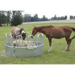 HRANILICA POJAČANA za sijeno s 10 mjesta - 430,00 €