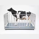 VAGA za krave, konje i svinje s OGRADOM -do 3000kg- Vitalis.shop