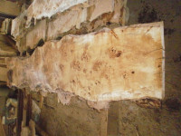 daske jagnjeda prodajem (topol)