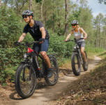 750W DUOTTS F26Lite Električni bicikl MTB Off Road LG Punjiva Baterija