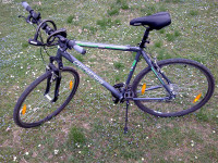Bicikl Genesis veličina rame 58cm