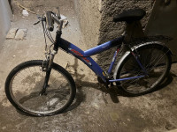 Bicikl power s pegasus