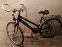 Bicikla Gudereit