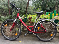 Bicikla cross za odrasle