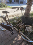 Gazelle Maxinette 24"