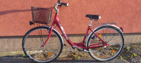 Ikarus ženski bicikl sa 28 cola kotačima, alu-rama 46 cm