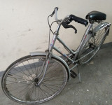 Rog Maestral bicikl 28"