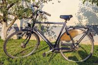 Altra Spring City Classic muški bicikl