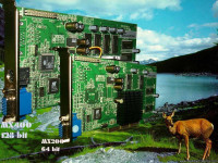 Winfast Geforce2 MX400 MAX 2850 REV.A 64MB 128bit, AGP  Garancija!