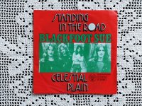 Blackfoot Sue - Standing In The Road (7", Single)