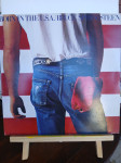 Bruce Springsteen gramofonska ploča