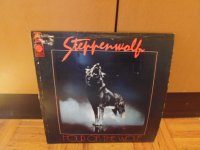 Gramofonska Ploča-Steppenwolf