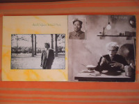 japan david sylvian big in japan 2 lp