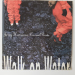 Jerry Harrison (Ex Talking Heads) – Casual Gods, UK Press